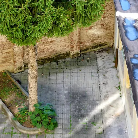 Casa Lo, Bright And Happy